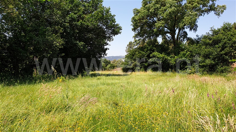 Terreno  Cabeceiras de Basto, Refojos de Basto, Outeiro e Painzela - 1177522 - 6