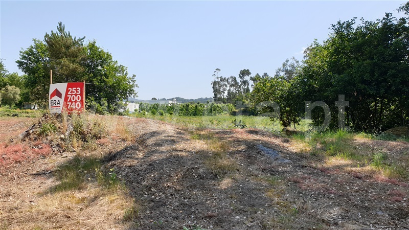 Terreno / Cabeceiras de Basto, Refojos de Basto, Outeiro e Painzela