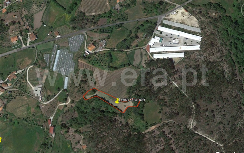 Terreno  Cabeceiras de Basto, Refojos de Basto, Outeiro e Painzela - 1177522 - 7