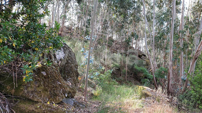 Terreno  Cabeceiras de Basto, Refojos de Basto, Outeiro e Painzela - 1177535 - 2