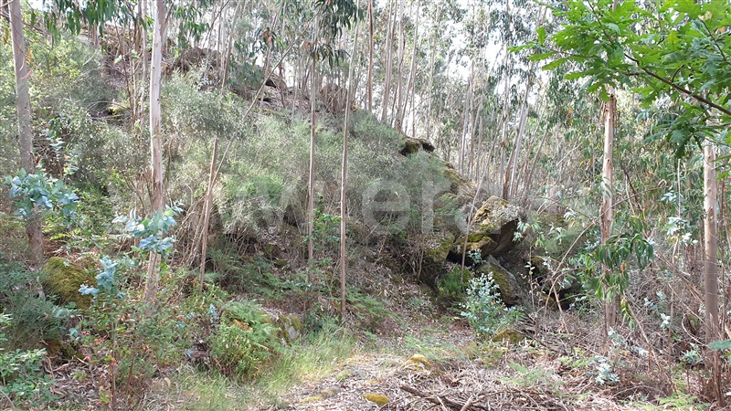 Terreno  Cabeceiras de Basto, Refojos de Basto, Outeiro e Painzela - 1177535 - 5