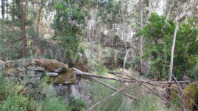Terreno  Cabeceiras de Basto, Refojos de Basto, Outeiro e Painzela - 1177535 - 7
