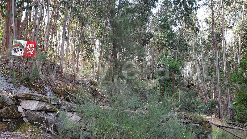 Terreno  Cabeceiras de Basto, Refojos de Basto, Outeiro e Painzela - 1177535 - 9