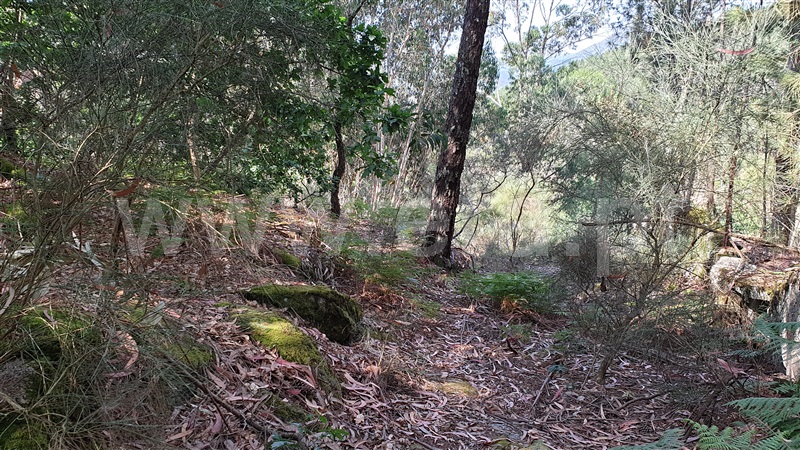 Terreno  Cabeceiras de Basto, Refojos de Basto, Outeiro e Painzela - 1177535 - 10