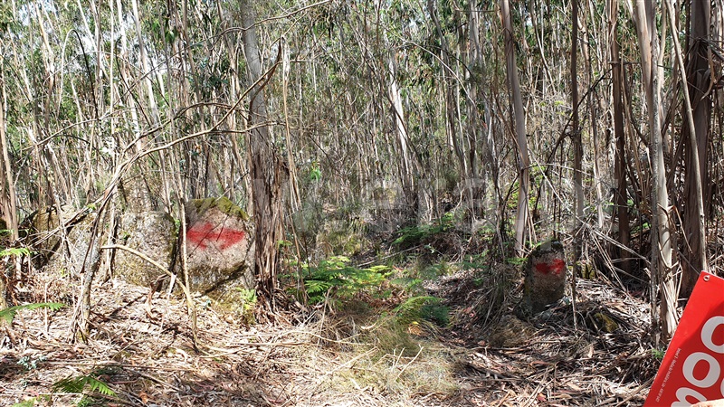 Terreno  Cabeceiras de Basto, Refojos de Basto, Outeiro e Painzela - 1177538 - 3