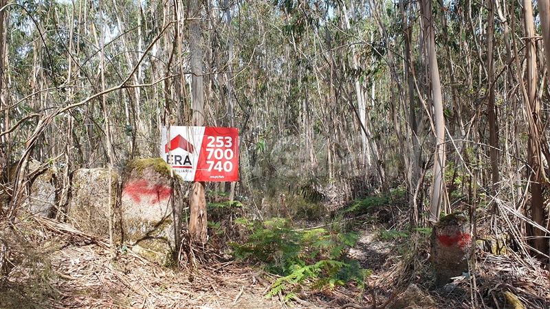 Terreno  Cabeceiras de Basto, Refojos de Basto, Outeiro e Painzela - 1177538 - 5