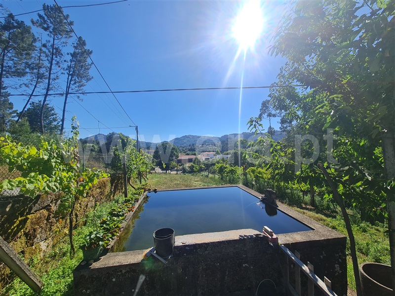 Terreno  Cabeceiras de Basto, Refojos de Basto, Outeiro e Painzela - 1420911 - 1