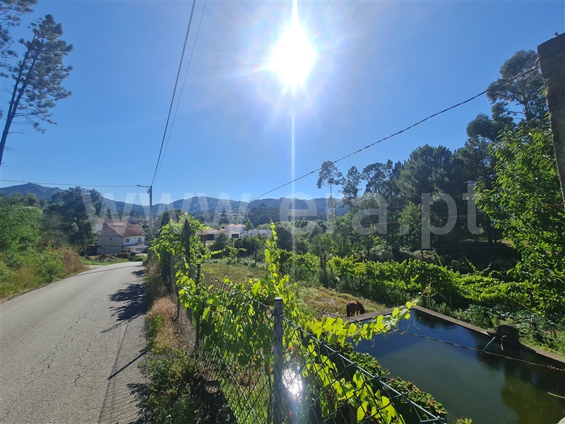 Terreno / Cabeceiras de Basto, Refojos de Basto, Outeiro e Painzela