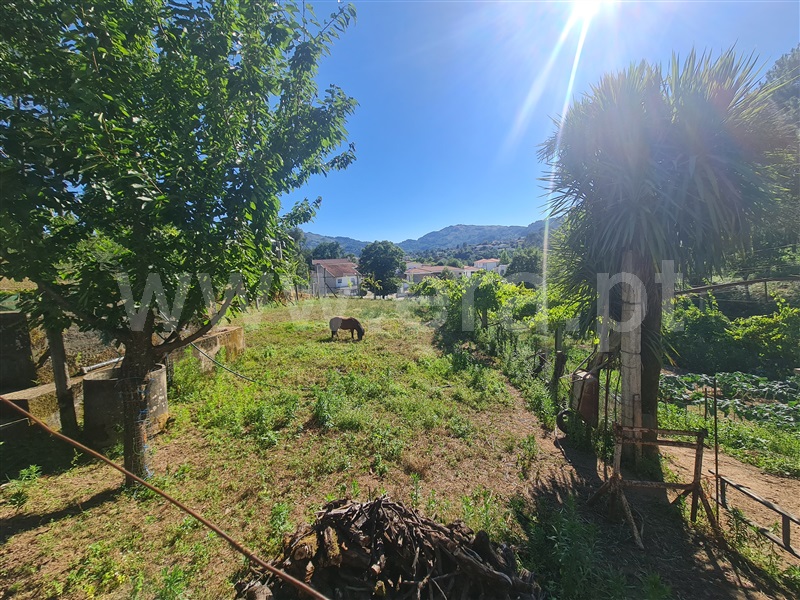 Terreno  Cabeceiras de Basto, Refojos de Basto, Outeiro e Painzela - 1420911 - 3
