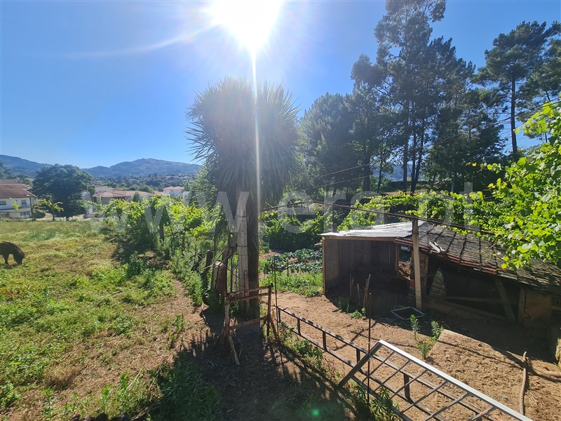Terreno  Cabeceiras de Basto, Refojos de Basto, Outeiro e Painzela - 1420911 - 4