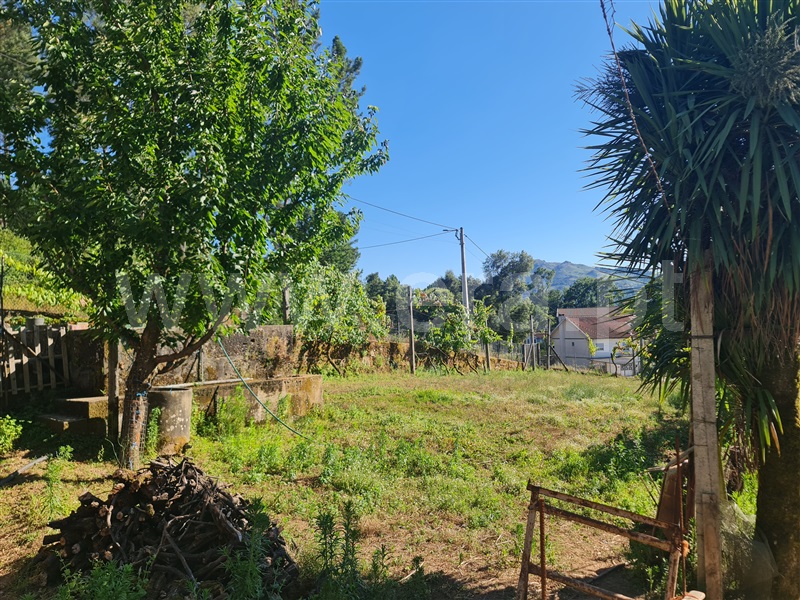 Terreno  Cabeceiras de Basto, Refojos de Basto, Outeiro e Painzela - 1420911 - 6