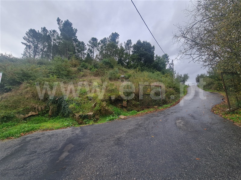Terreno / Cabeceiras de Basto, Refojos de Basto, Outeiro e Painzela