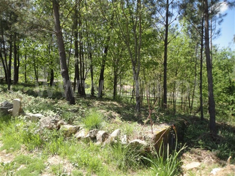 Terreno  Cabeceiras de Basto, Refojos de Basto, Outeiro e Painzela - 897328 - 4