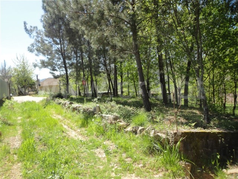 Terreno / Cabeceiras de Basto, Refojos de Basto, Outeiro e Painzela