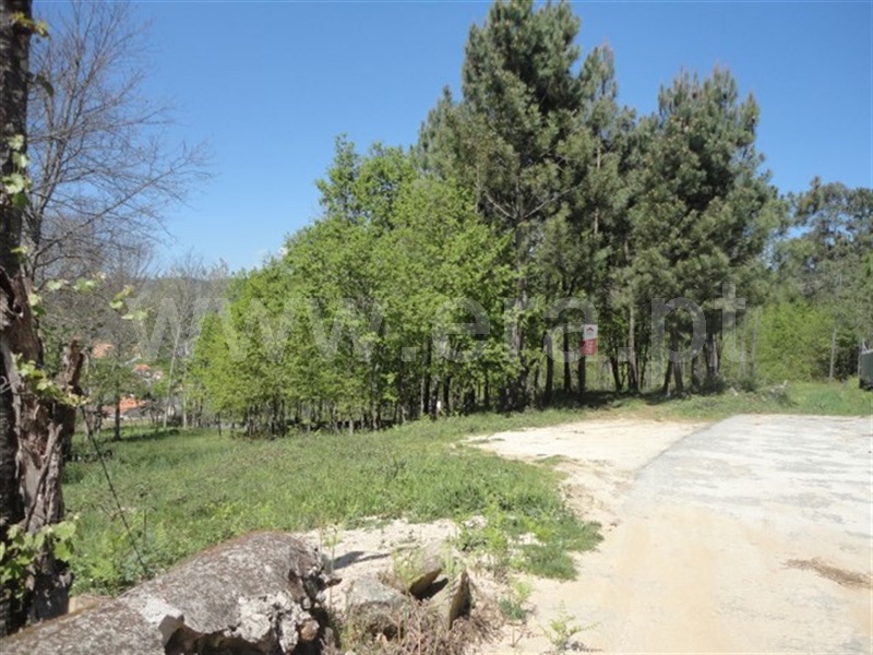 Terreno  Cabeceiras de Basto, Refojos de Basto, Outeiro e Painzela - 897328 - 5