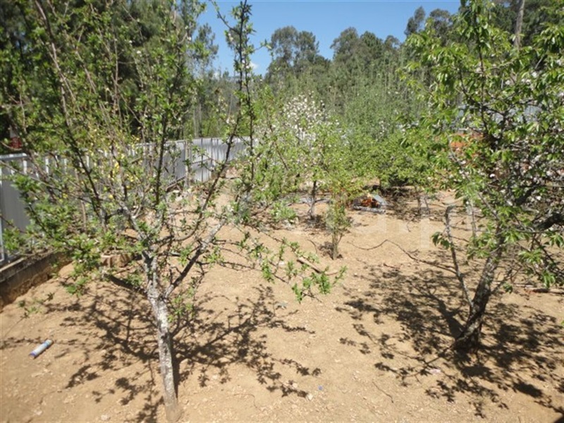 Terreno  Cabeceiras de Basto, Refojos de Basto, Outeiro e Painzela - 897328 - 7