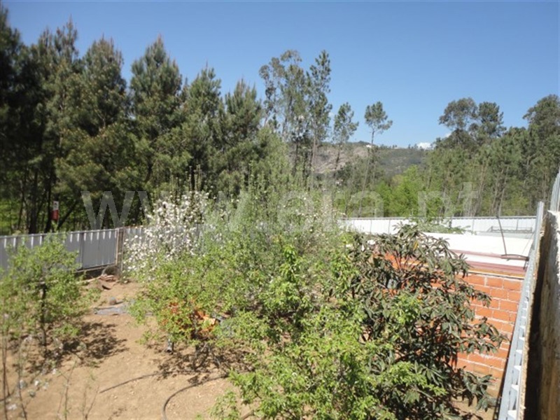 Terreno  Cabeceiras de Basto, Refojos de Basto, Outeiro e Painzela - 897328 - 8