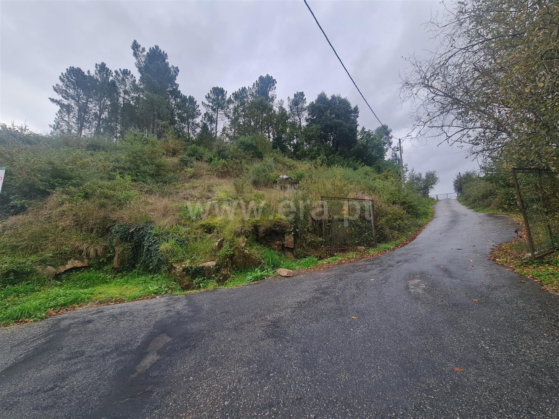 Land for sale in Cabeceiras de Basto, Portugal — €270,000