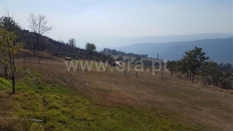 Terreno  Cabeceiras de Basto, Rio Douro - 859585 - 19