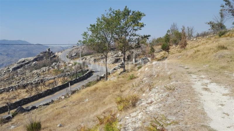 Terreno  Cabeceiras de Basto, Rio Douro - 859585 - 20