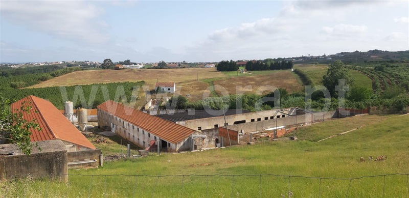 Terreno / Cadaval, Lamas e Cercal