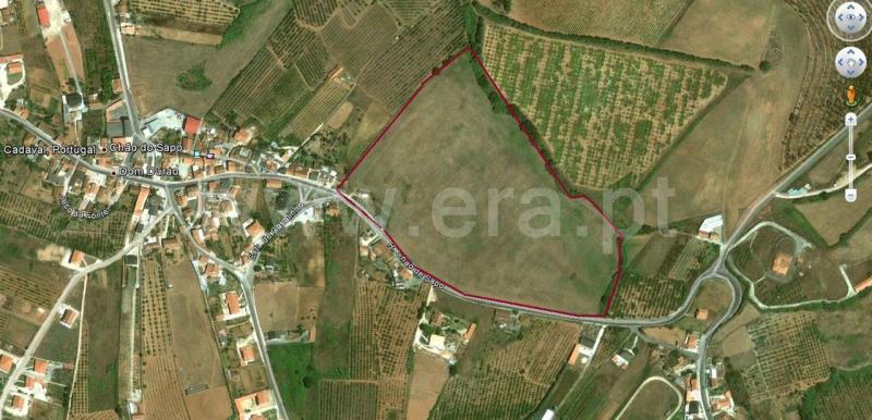 Terreno / Cadaval, Lamas e Cercal
