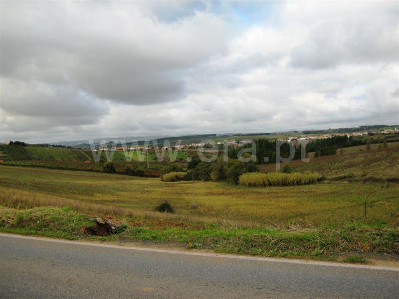 Terreno  Cadaval, Chão de Sapo - 484951 - 2