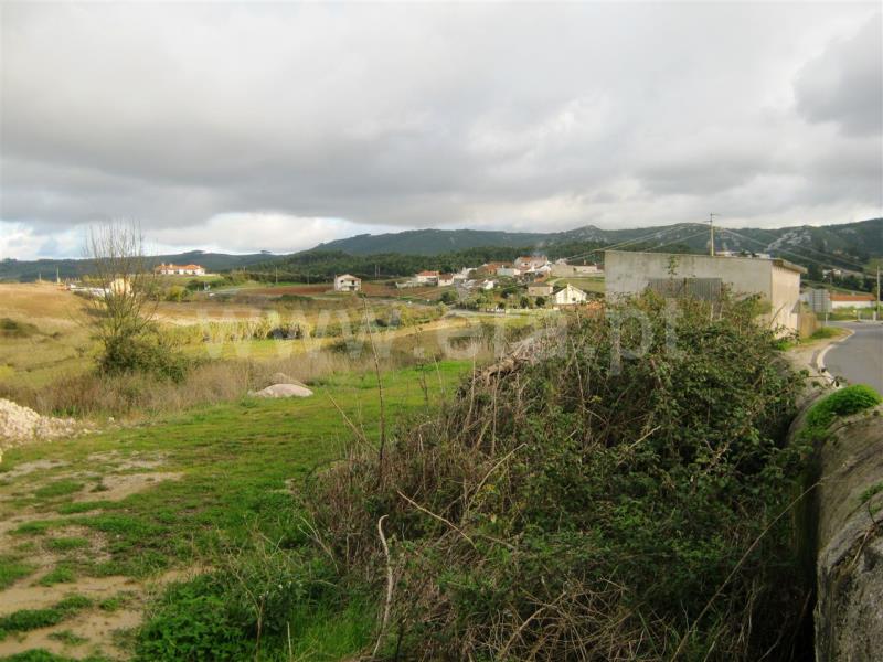 Terreno  Cadaval, Chão de Sapo - 484951 - 4