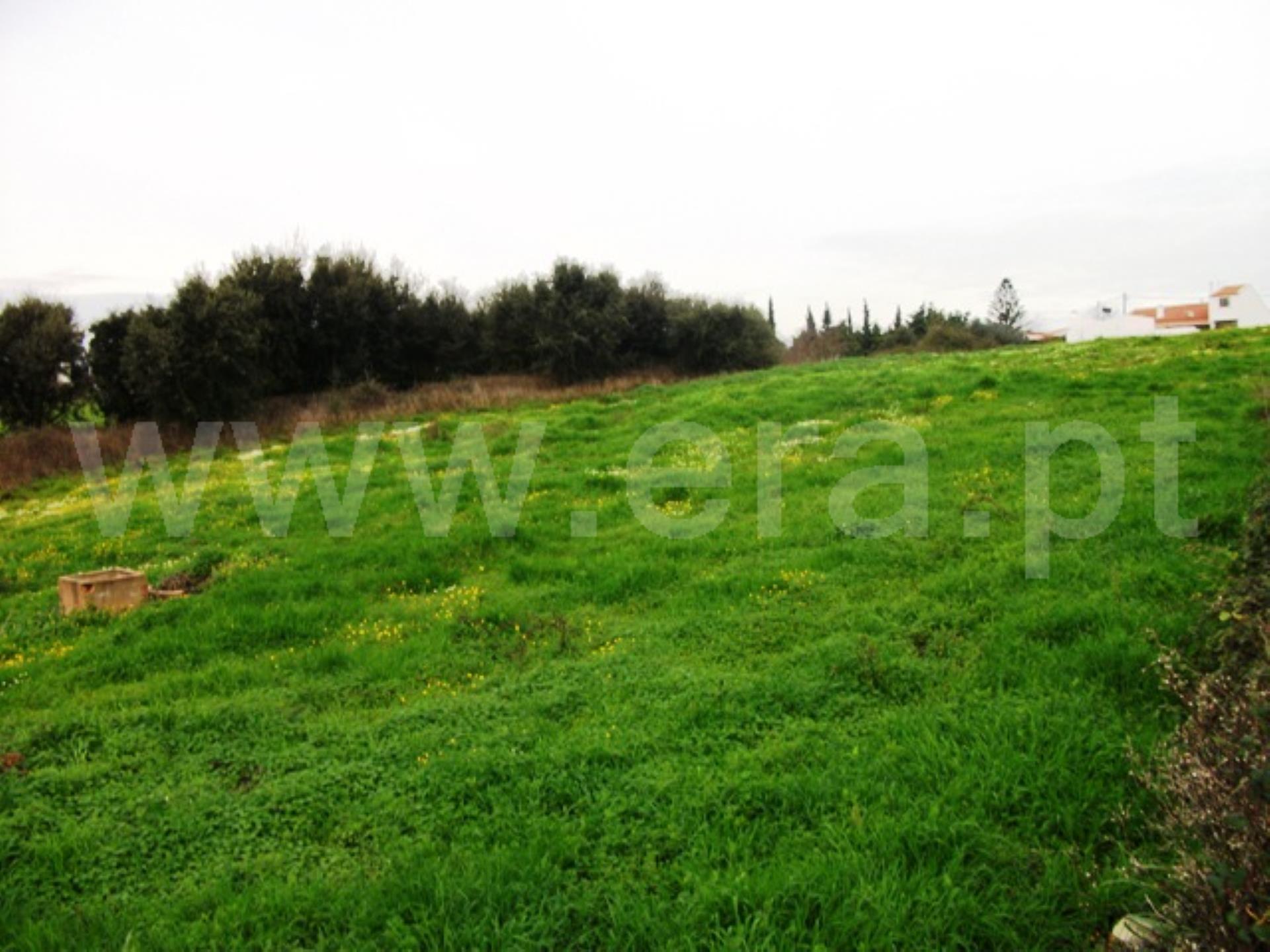 Land for sale in Cadaval, Portugal — €80,000