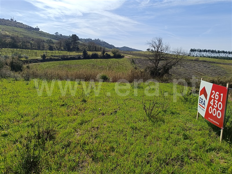 Terreno / Cadaval, Vilar