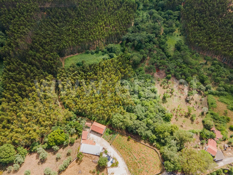 Terreno / Caldas da Rainha, Alvorninha