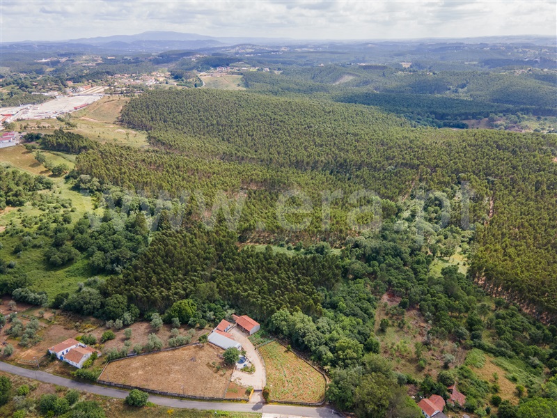 Terreno  Caldas da Rainha, Alvorninha - 1331672 - 2