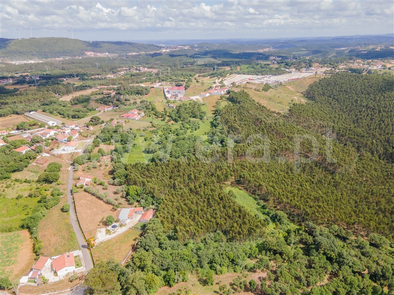 Terreno  Caldas da Rainha, Alvorninha - 1331672 - 3