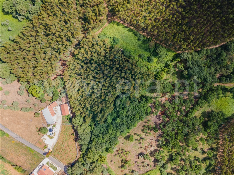 Terreno  Caldas da Rainha, Alvorninha - 1331672 - 4