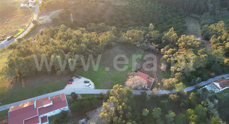 Terreno Rústico / Caldas da Rainha, Alvorninha