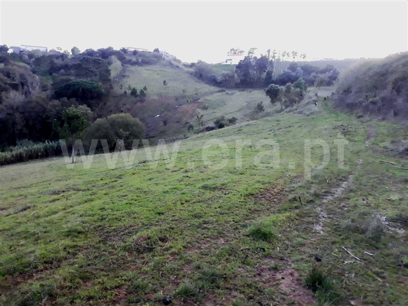 Terreno Estúdio / Caldas da Rainha, Salir de Matos