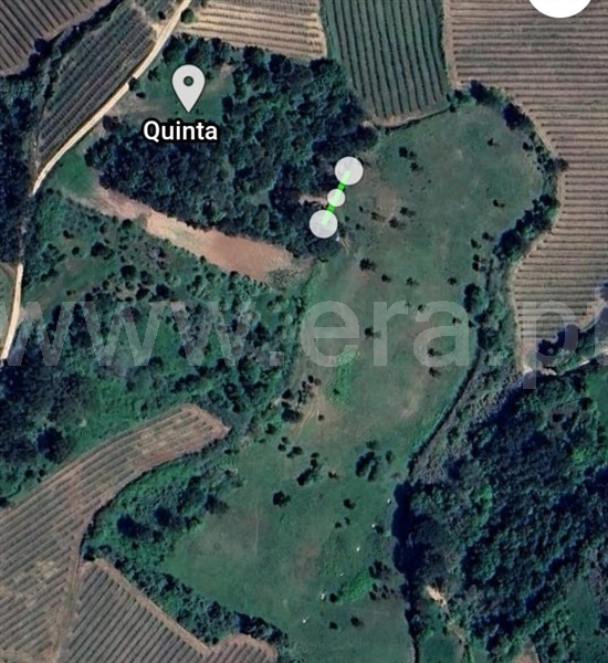 Terreno Estúdio / Caldas da Rainha, Salir de Matos