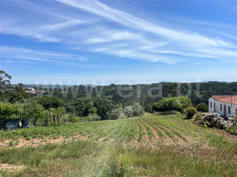 Terreno / Caldas da Rainha, Santa Catarina