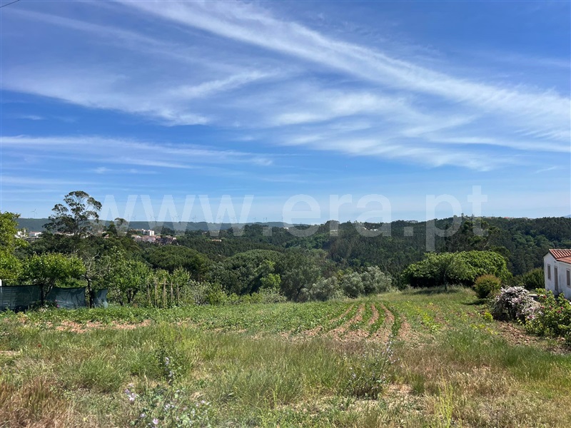 Apartamento  Caldas da Rainha, Santa Catarina - 1331571 - 3