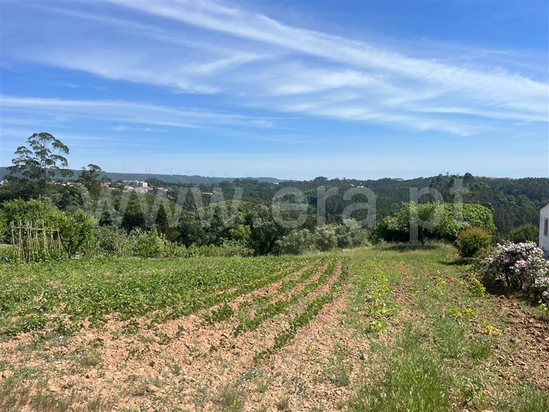 Apartamento  Caldas da Rainha, Santa Catarina - 1331571 - 5