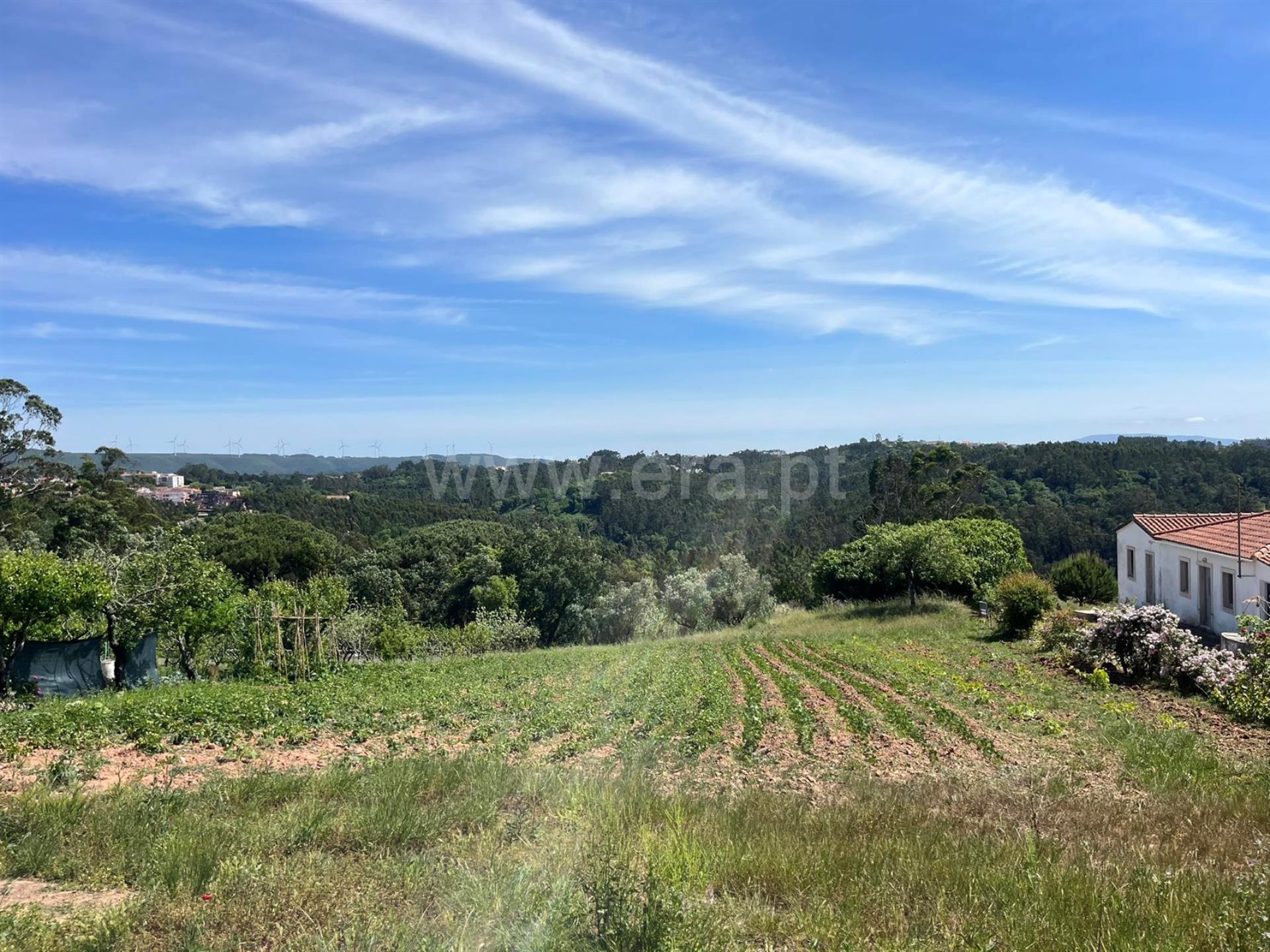 Land for sale in Caldas da Rainha, Portugal — €115,000