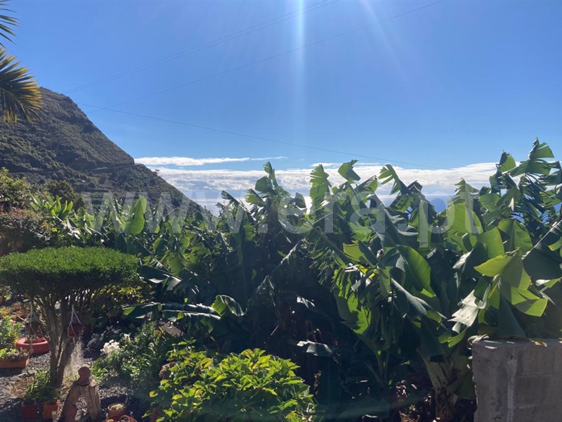 Terreno / Calheta (Madeira), Arco da Calheta
