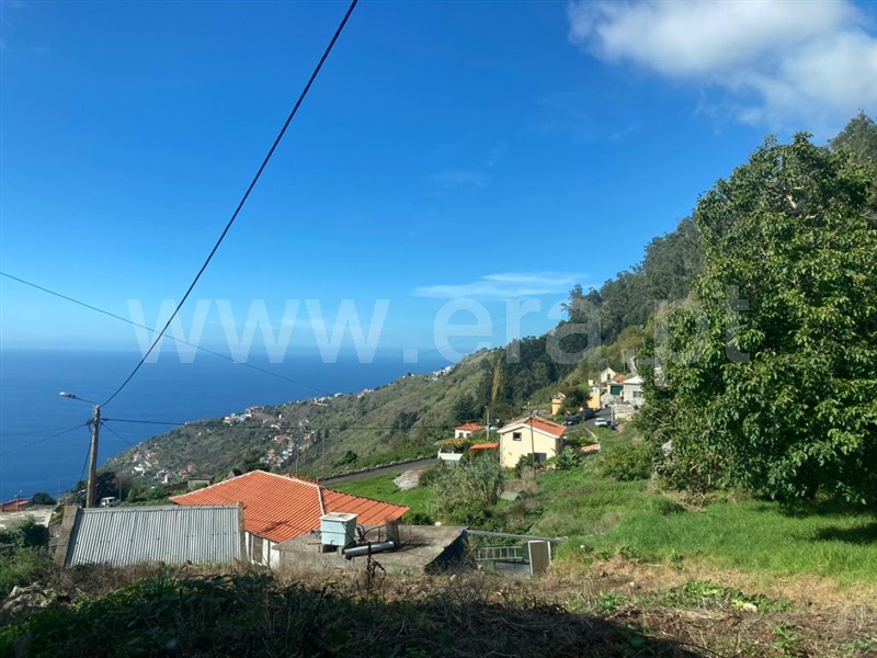 Terreno / Calheta (Madeira), Arco da Calheta