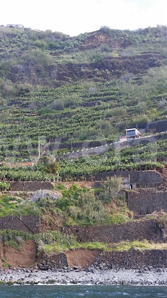 Azenha  Calheta (Madeira), Arco da Calheta - 1407165 - 1