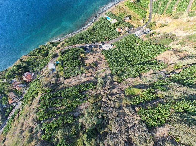 Azenha  Calheta (Madeira), Arco da Calheta - 1407165 - 10