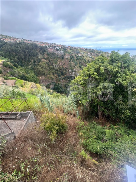 Terreno  Calheta (Madeira), Calheta - 1507651 - 3
