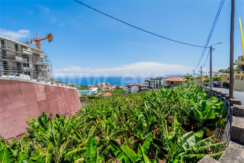 Terreno / Câmara de Lobos, Câmara de Lobos