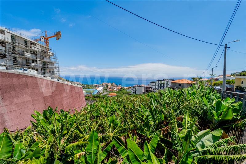 Terreno  com Vista Mar Câmara de Lobos - 1495531 - 9
