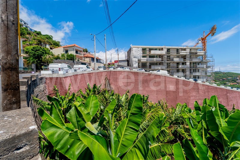 Terreno  com Vista Mar Câmara de Lobos - 1495531 - 12