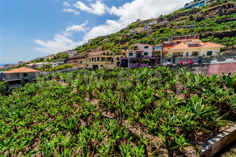 Terreno  com Vista Mar Câmara de Lobos - 1495531 - 13